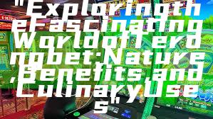 "Exploring the Fascinating World of Terongbet: Nature, Benefits, and Culinary Uses"